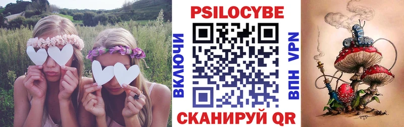 Купить  Сковородино  Галлюциногенные грибы GOLDEN TEACHER 